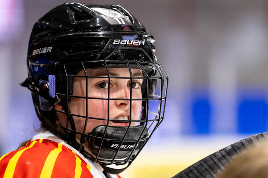 Brynäs Jaycee Gebhard porträtt