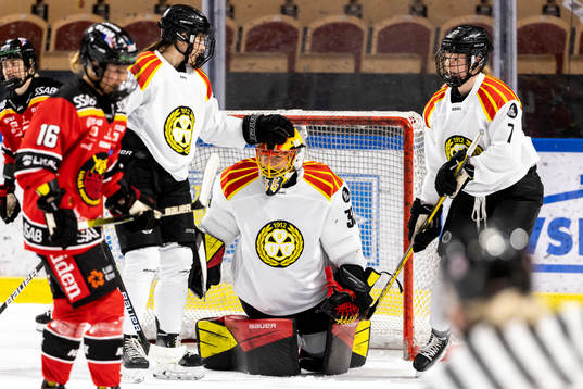 Brynäs Maja Nylén Persson klappar om målvakt Ellen