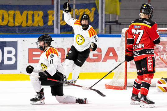 Brynäs Jaycee Gebhard jublar
