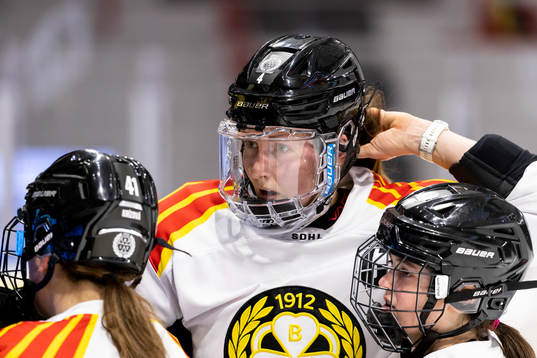 Brynäs Rosa Lindstedt