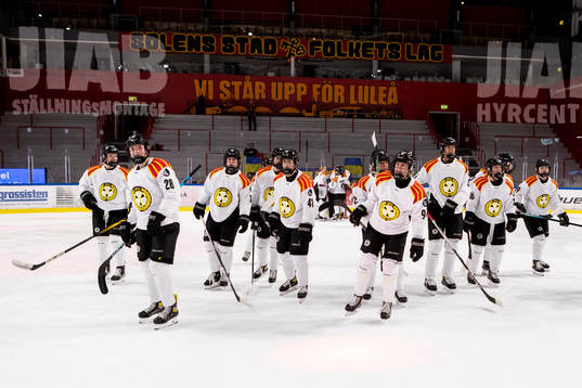 Brynäs spelare