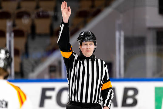 Domare Michael Hägg