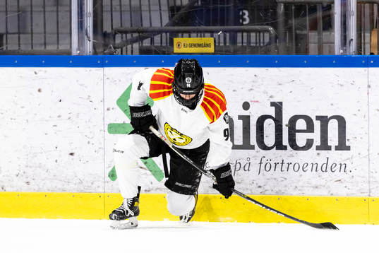 Brynäs Anna Meixner deppar