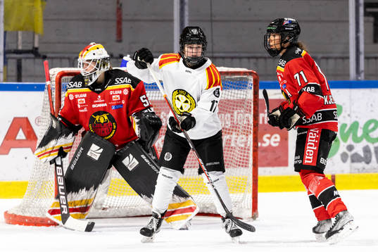 Brynäs Jaycee Gebhard redo för styrning framför Luleås