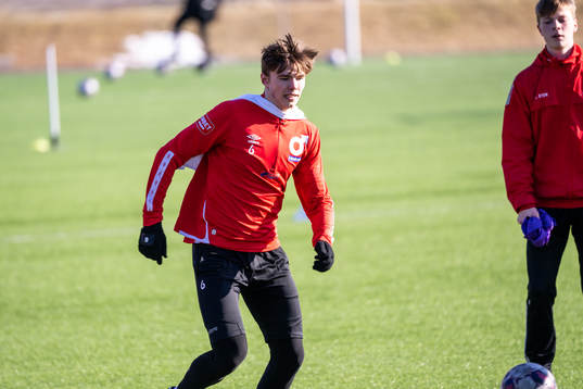 Oscar Wallin