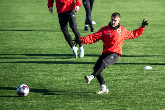 Anton Kralj