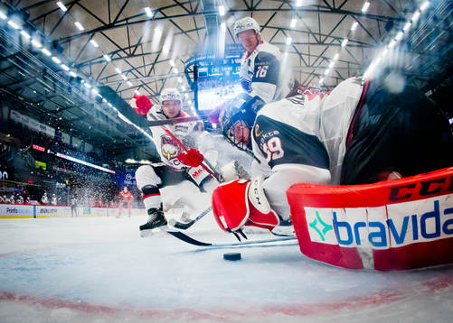 Malmö Redhawks Matias Lassen och målvakt Oscar Alsenfelt