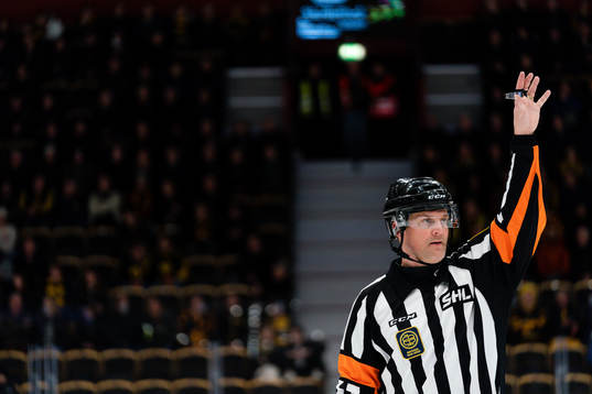 Domare Mikael Nord