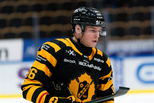 Skellefteås Rickard Hugg