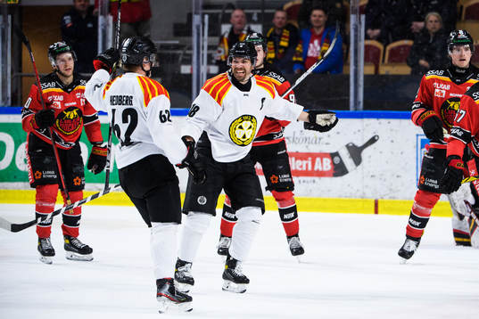 Brynäs Anton Rödin jublar