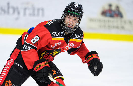 Luleås Dans Locmelis