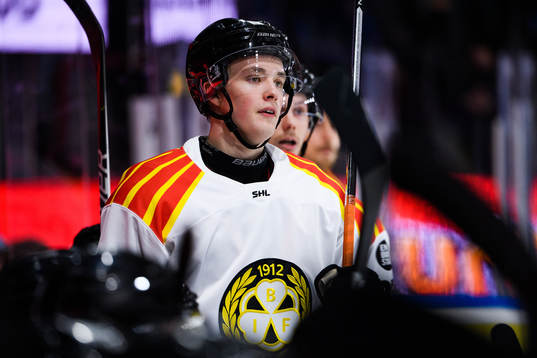 Brynäs Noel Gunler