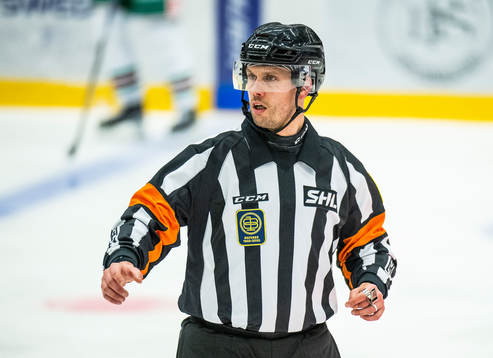 Domare Johan Magnusson