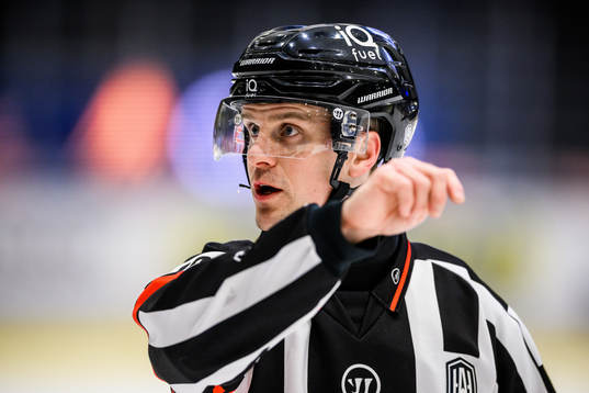Domare Stefan Johansson