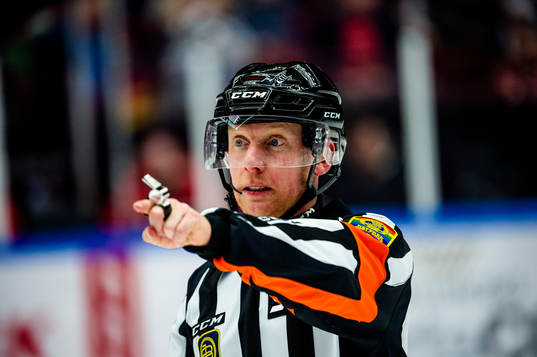 Domare Mikael Holm