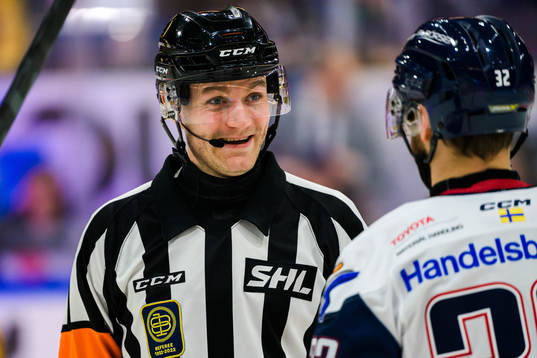 Domare Daniel Eriksson