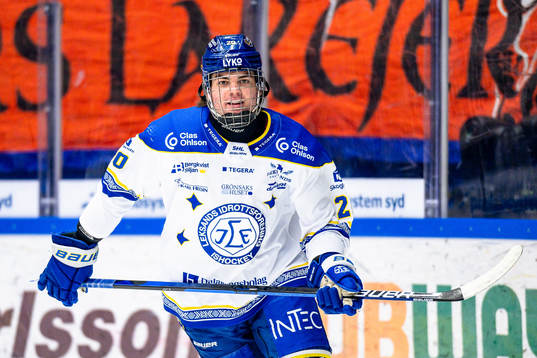 Leksands Lian Bichsel