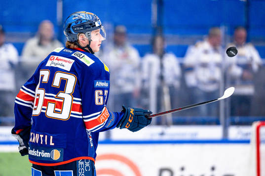 Växjös Michael Krutil