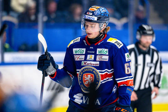 Växjös Michael Krutil deppar