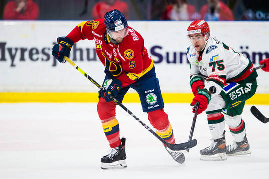 Djurgårdens Cameron Schilling och Frölundas Radan Lenc