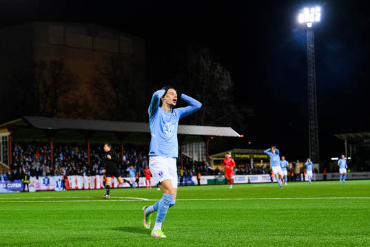 Malmö FFs Veljko Birmancevic deppar
