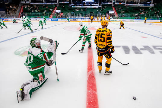 Rögle och Skellefteås spelara