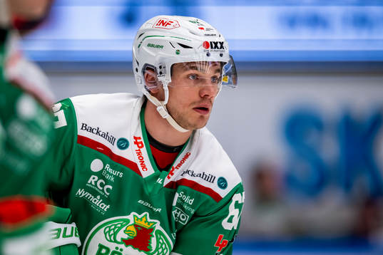 Rögles Leon Bristedt