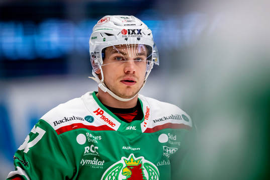 Rögles Leon Bristedt