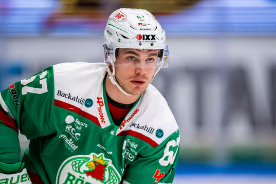Rögles Leon Bristedt