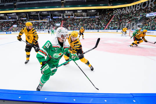 Rögles Ludvig Larsson och Skellefteås Adam Wilsby