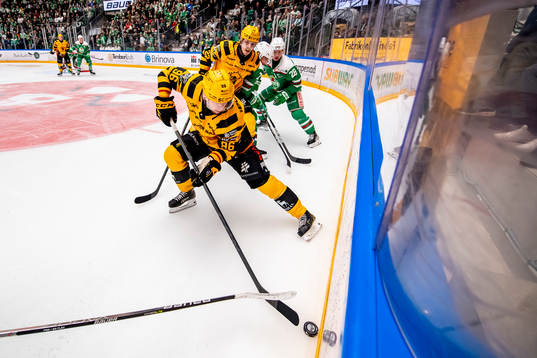 Skellefteås Rickard Hugg
