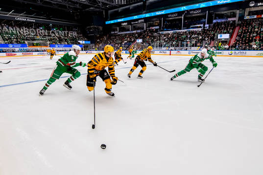 Skellefteås Jonathan Johnsson  och Rögles Valtteri