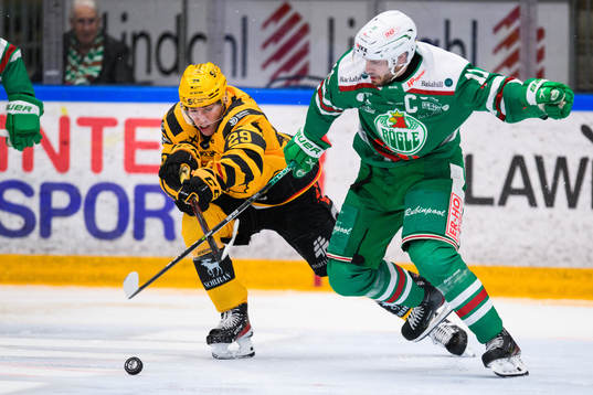 Skellefteås Albin Sundsvik och Rögles Mattias Sjögren