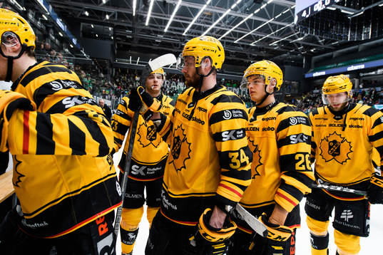 Skellefteås Tom Kühnhackl och Simon Robertsson deppar
