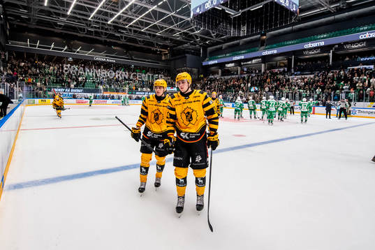 Skellefteås Jonathan Johnsson och Linus Karlsson deppar