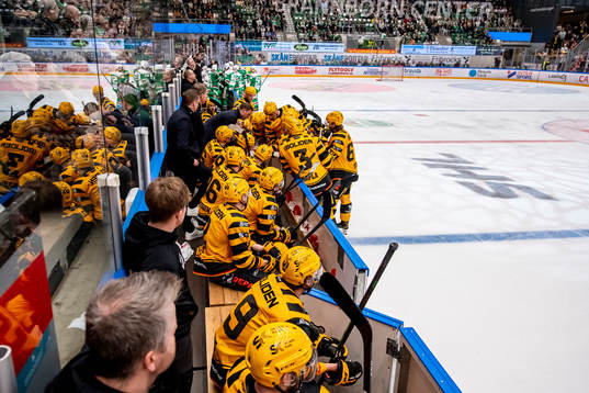 Skellefteås assisterande tränare Andreas Falk