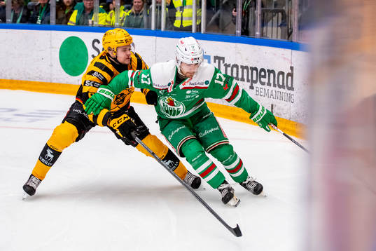 Skellefteås Måns Forsfjäll och Rögles Philip Granath
