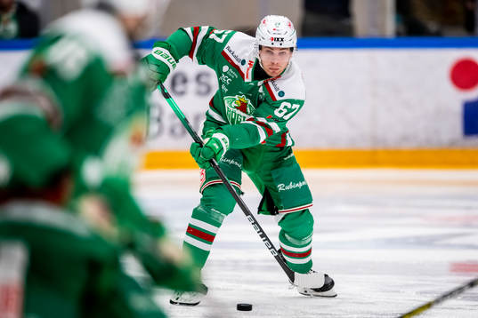 Rögles Leon Bristedt