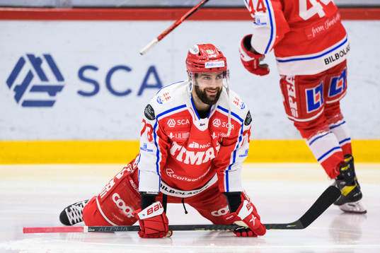 Timrås Robin Hanzl