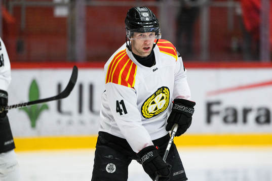 Brynäs Greg Scott