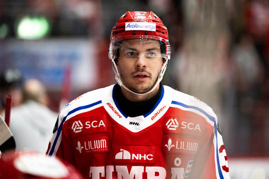 Timrås Ty Rattie