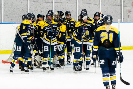 HV71 jublar
