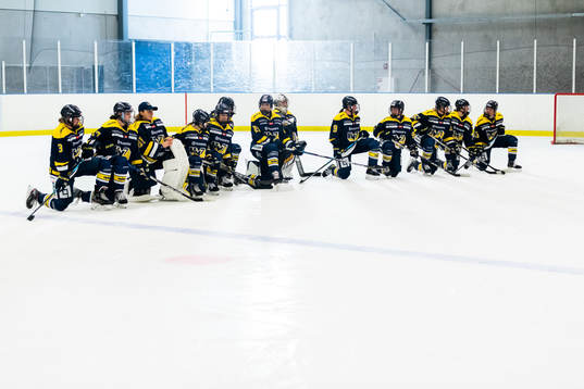 HV71 jublar