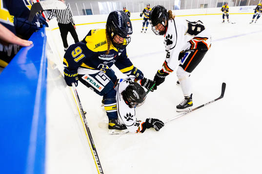 s Kajsa Armborg samt Göteborgs Vega Munhoz och Esther de