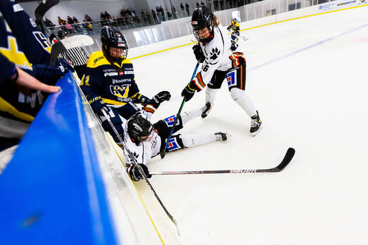 s Kajsa Armborg samt Göteborgs Vega Munhoz och Esther de
