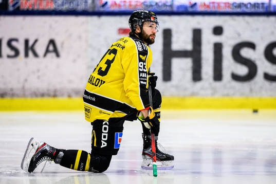 Västerås Ilya Arkalov