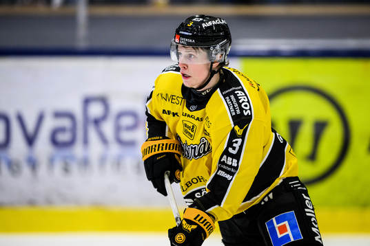 Västerås Ludvig Östman