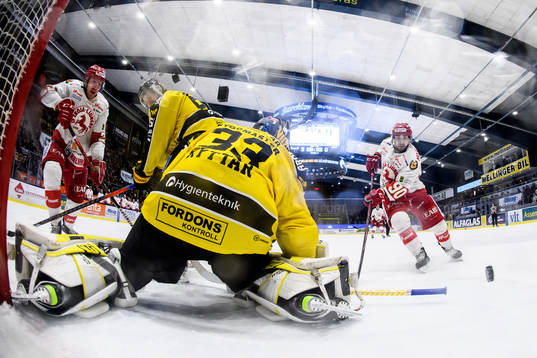 Västerås målvakt Linus Ryttar och Troja/Ljungbys Kevin