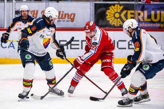 Djurgårdens Stefan Warg och Niclas Bergfors