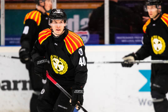 Brynäs Tomi Sallinen
